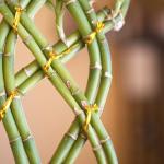 Classes offered by the Mindfulness Center 