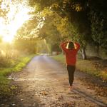 Spring 2019: Mental Health Theories and Therapies — GNUR 6252