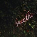 Fall 2018: Mindfulness-Based Stress Reduction (MBSR)
