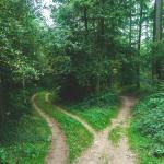 Mindful Decision-Making— EGMT 1540—Spring 2023