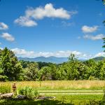2019 Pickard Contemplative Fellowship and Retreat for McIntire Students 