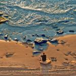 Fall Course: Mindfulness Based Stress Reduction (MSBR) with Teresa Miller