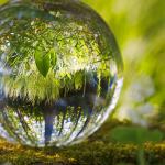 Contemplative Pedagogy: Bringing Intention, Awareness, and Reflection to Class Activities and Assignments
