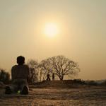 Yoga for Emotional Wellness